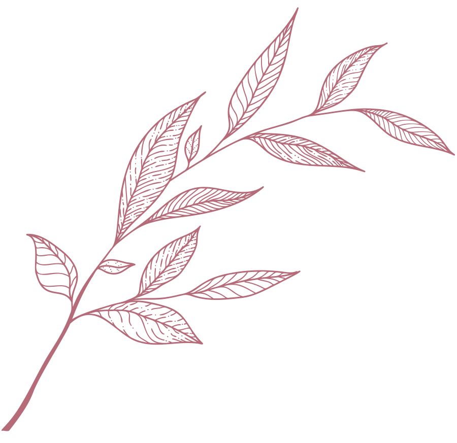 magenta leaf drawing